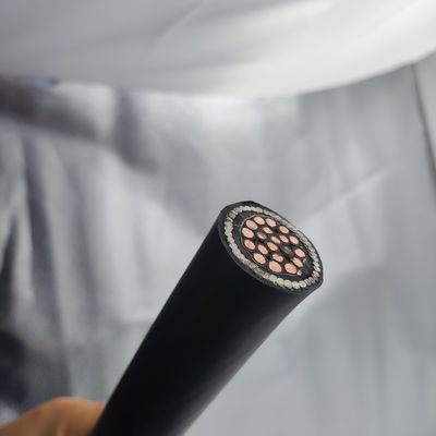 سعر جيد كابل الأجهزة 300/500 فولت 20Cores CU/MGT/XLPE/OS/FR/LSZH/GSWA/LSZH 20х25 متصل